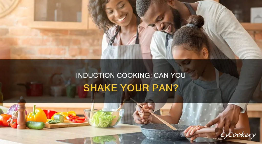 can you shake a pan over an induction burner