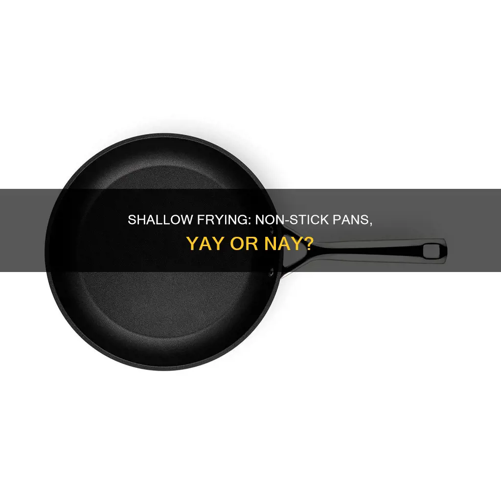 can you shallow fry in a non stick pan