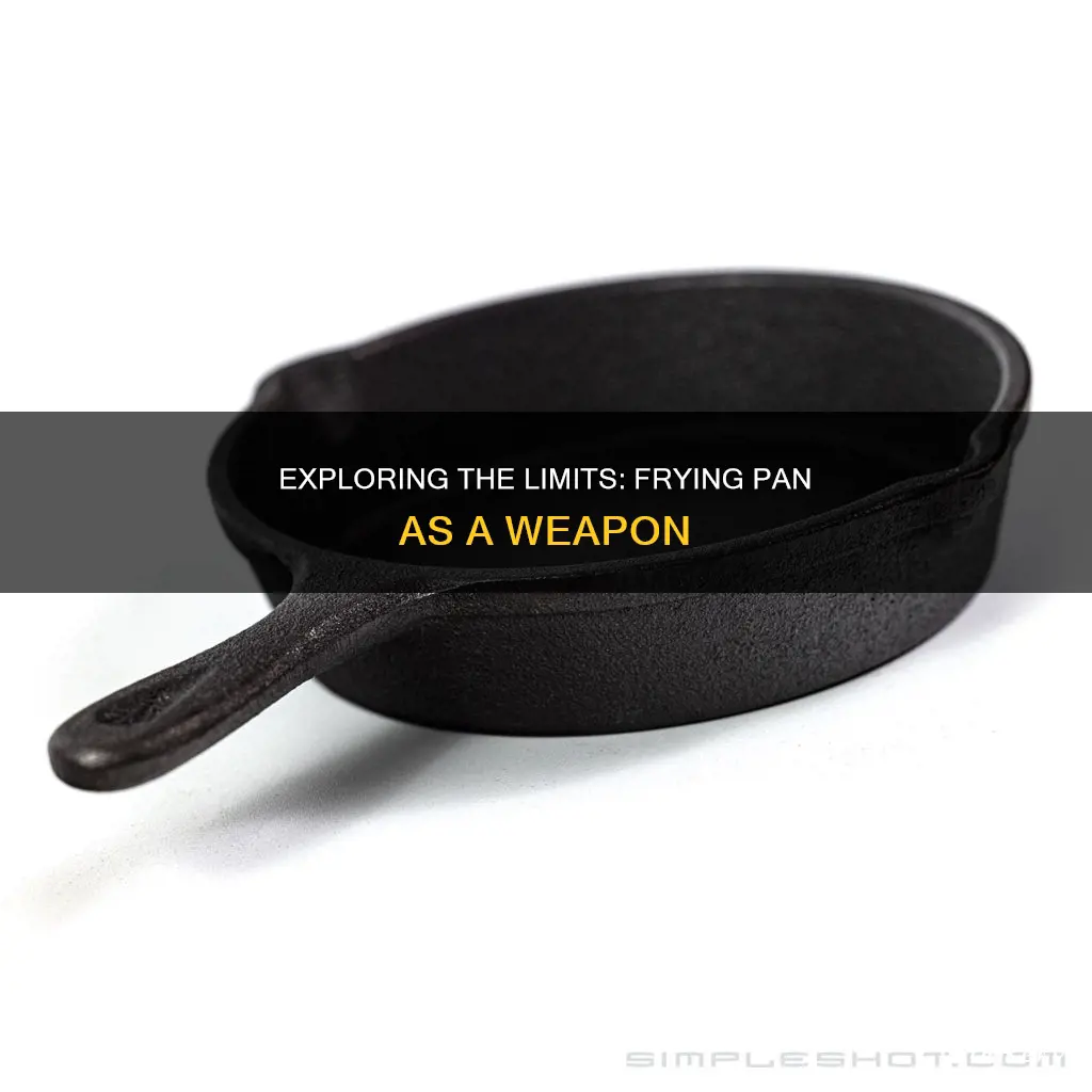 can you shoot a fry pan