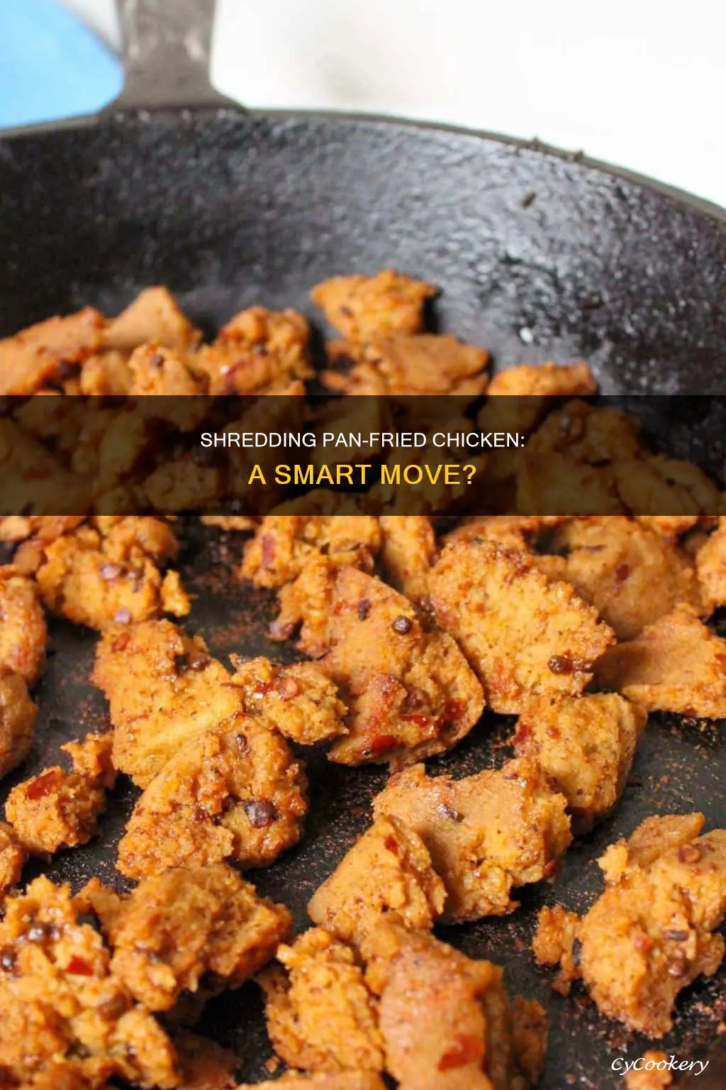 can you shred pan fried chicken