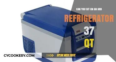 Can You Safely Sit on an ARB Fridge 37 Qt?
