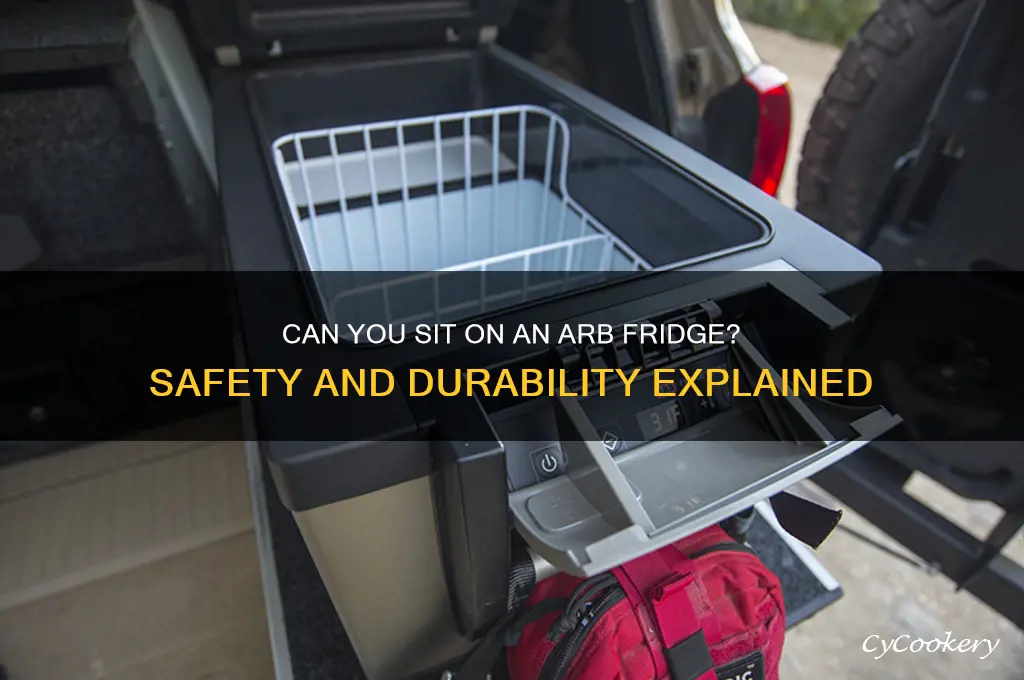 can you sit on an arb refrigerator