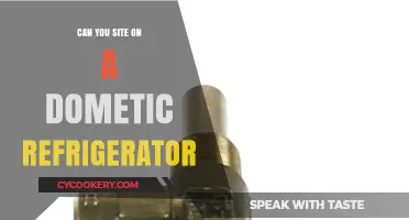 Can You Sit on a Dometic Refrigerator? Safety Tips Explained