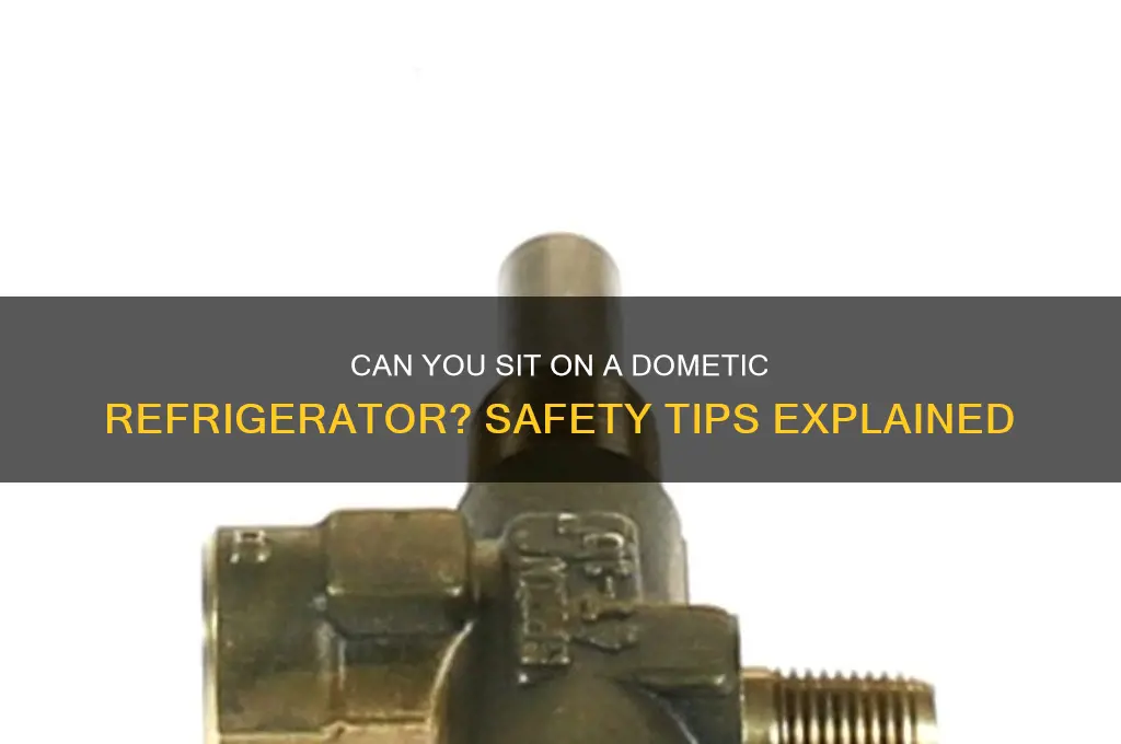 can you site on a dometic refrigerator
