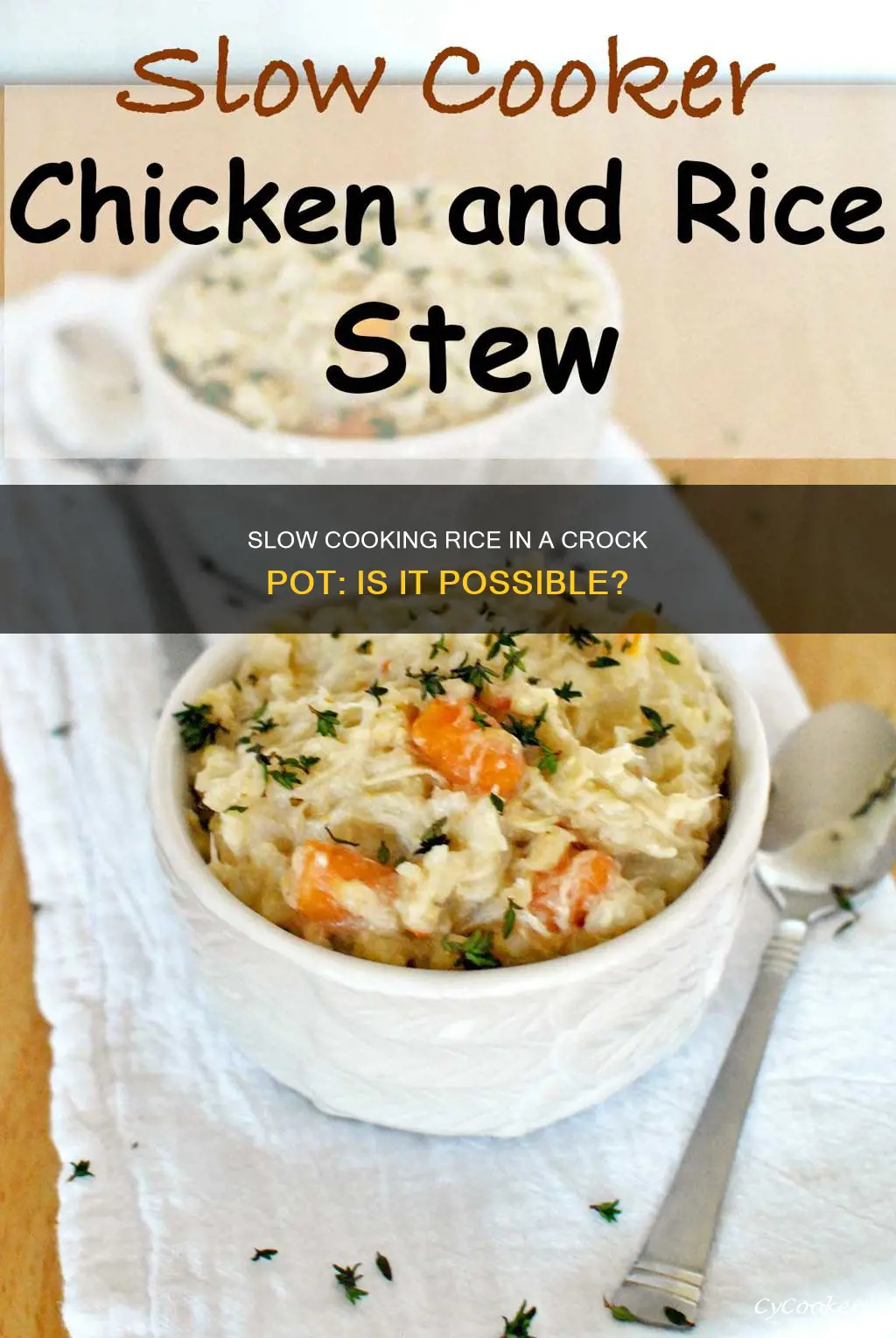 can you slow cook rice in a crock pot