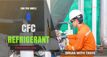 Can You Smell CFC Refrigerant? Uncovering the Truth and Risks