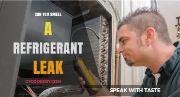 Detecting Refrigerant Leaks: Can You Smell the Warning Signs?