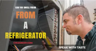 Can You Smell Freon from a Refrigerator? Uncovering the Truth