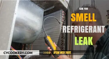 Detecting Refrigerant Leaks: Can You Smell the Warning Signs?