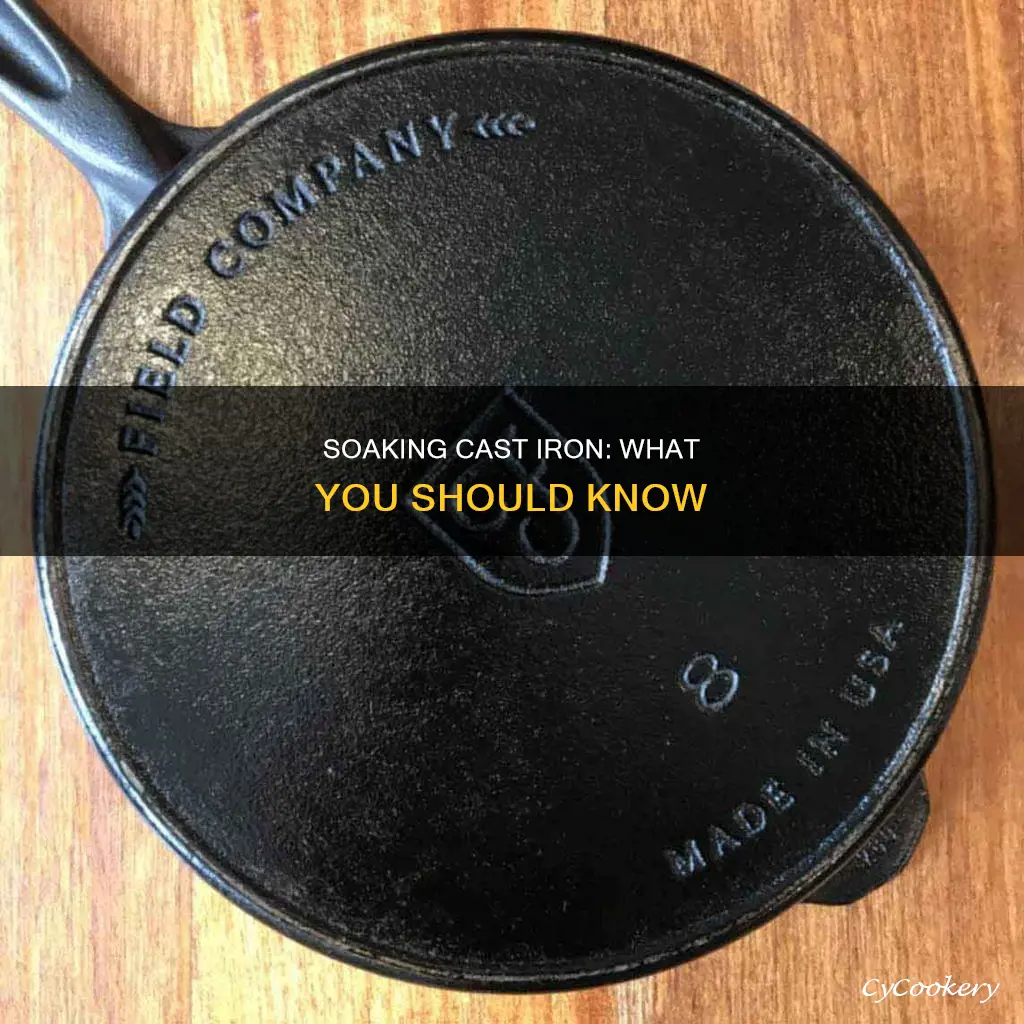 can you soak a cast iron pan in water