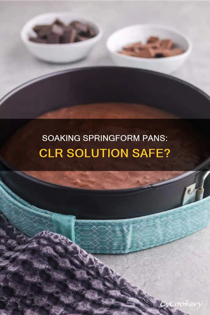 can you soak a springform pan in clr