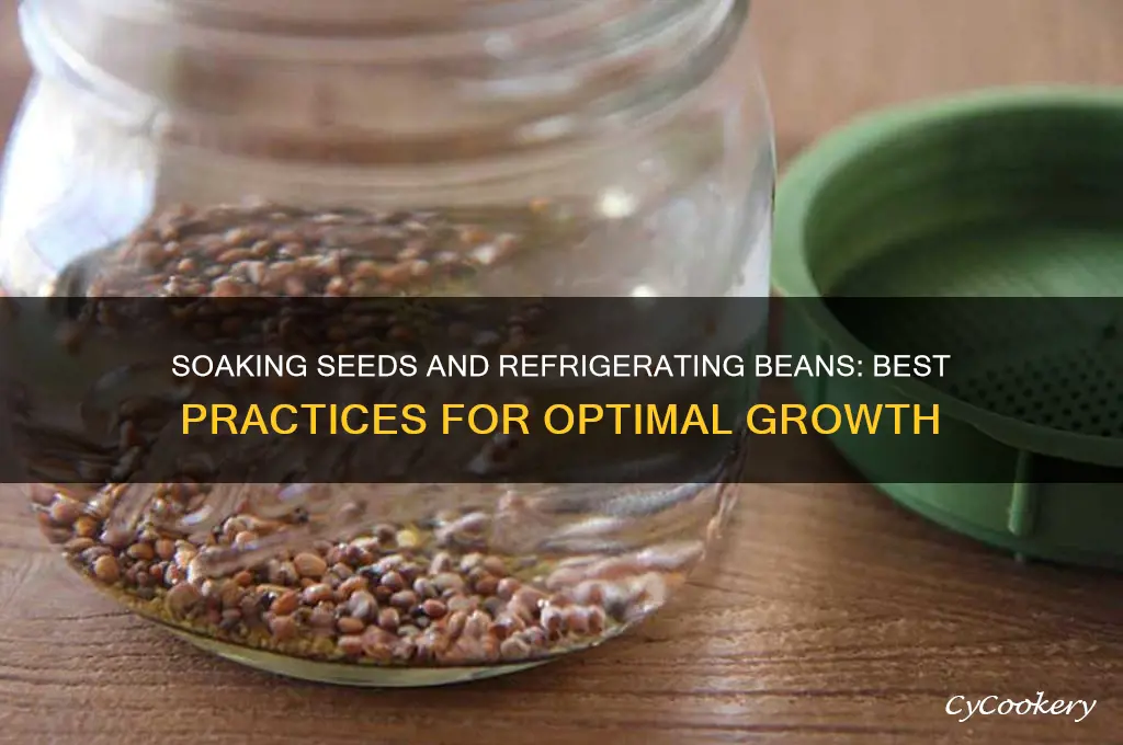 can you soaking seeds and them refrigerate beans after