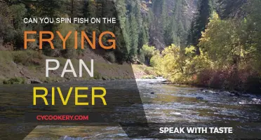Spin Fishing on Frying Pan River: What You Need to Know