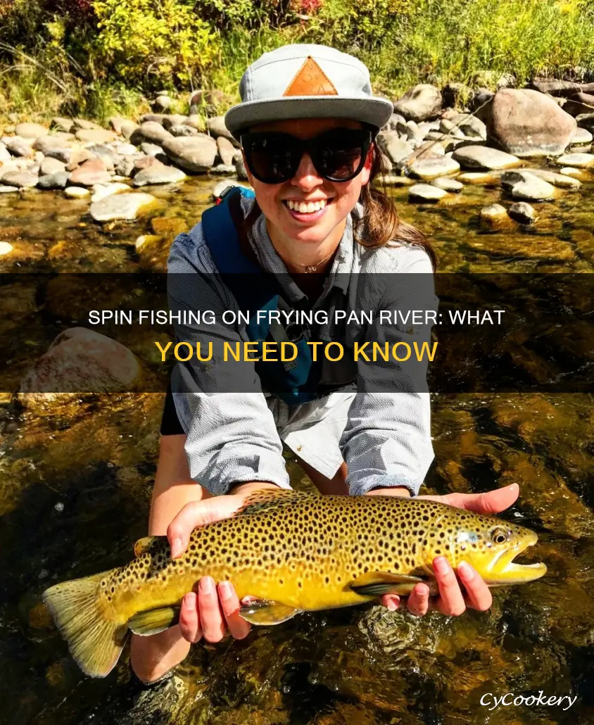 can you spin fish on the frying pan river