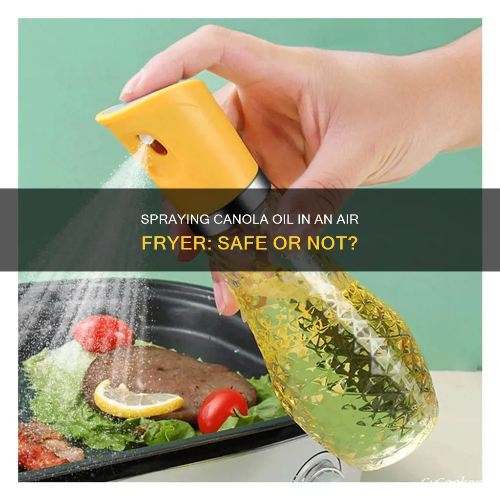 can you spray canola oil in air fryer