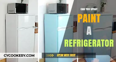 Spray Painting Your Fridge: A DIY Guide to Revamping Appliances