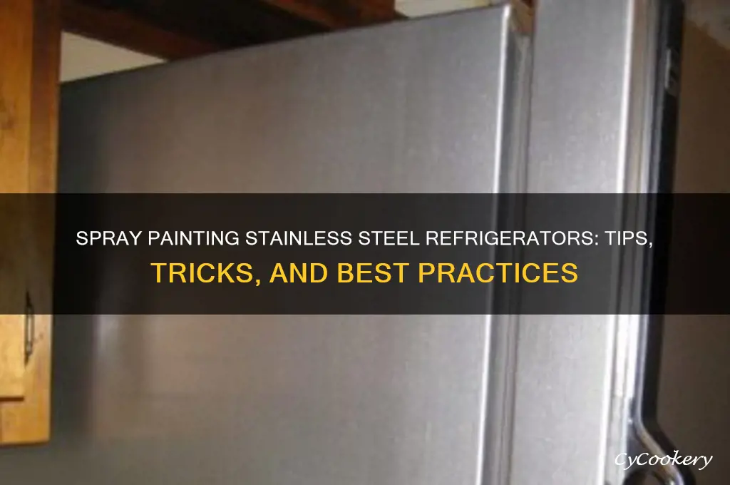 can you spray paint refrigerator stainless steel