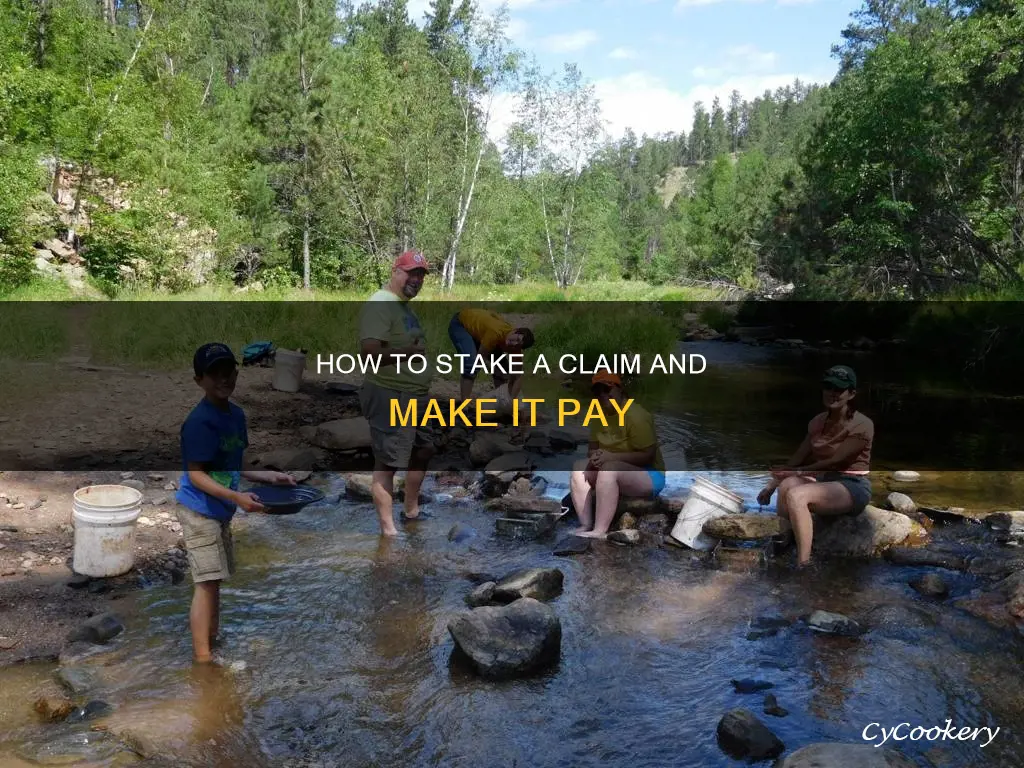 can you stake a gold panning claim