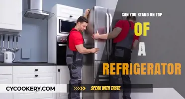 Can You Safely Stand on Top of a Refrigerator? Expert Insights
