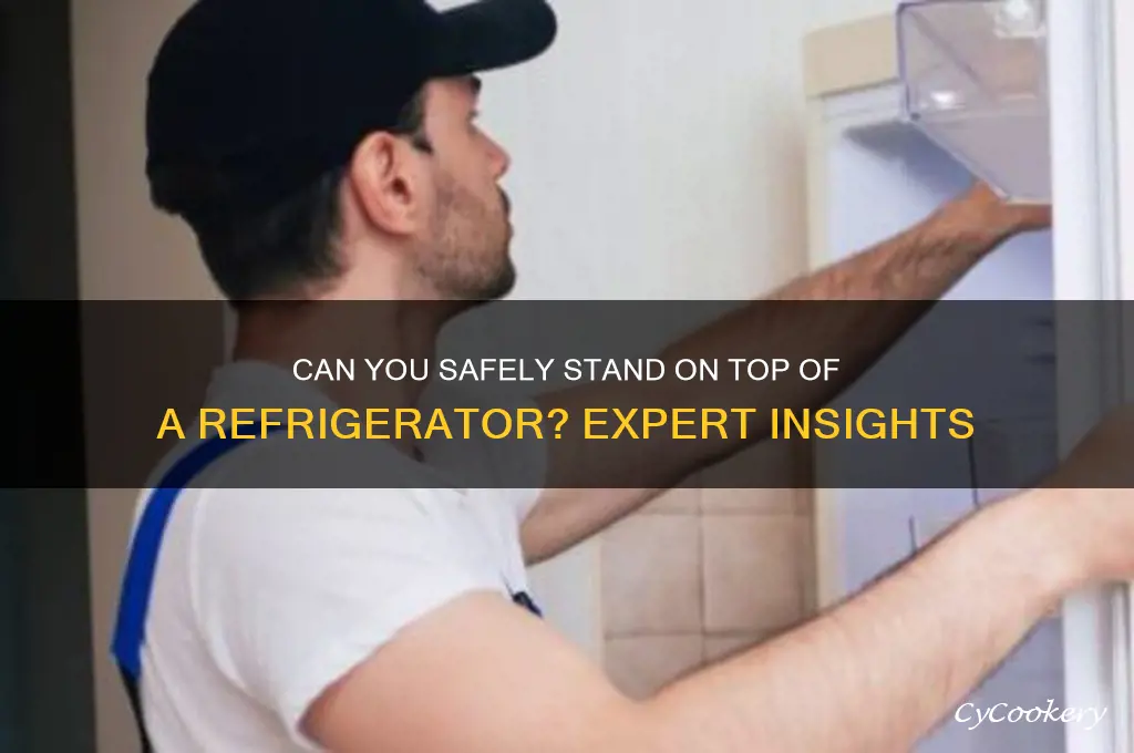 can you stand on top of a refrigerator