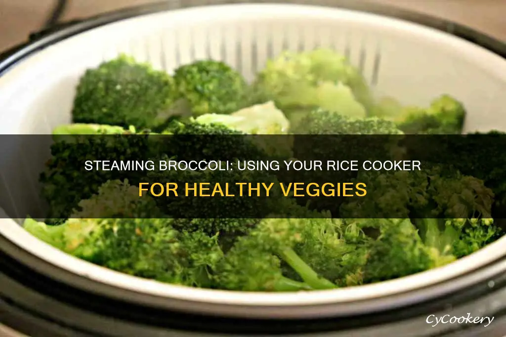 can you steam broccoli in a rice cooker