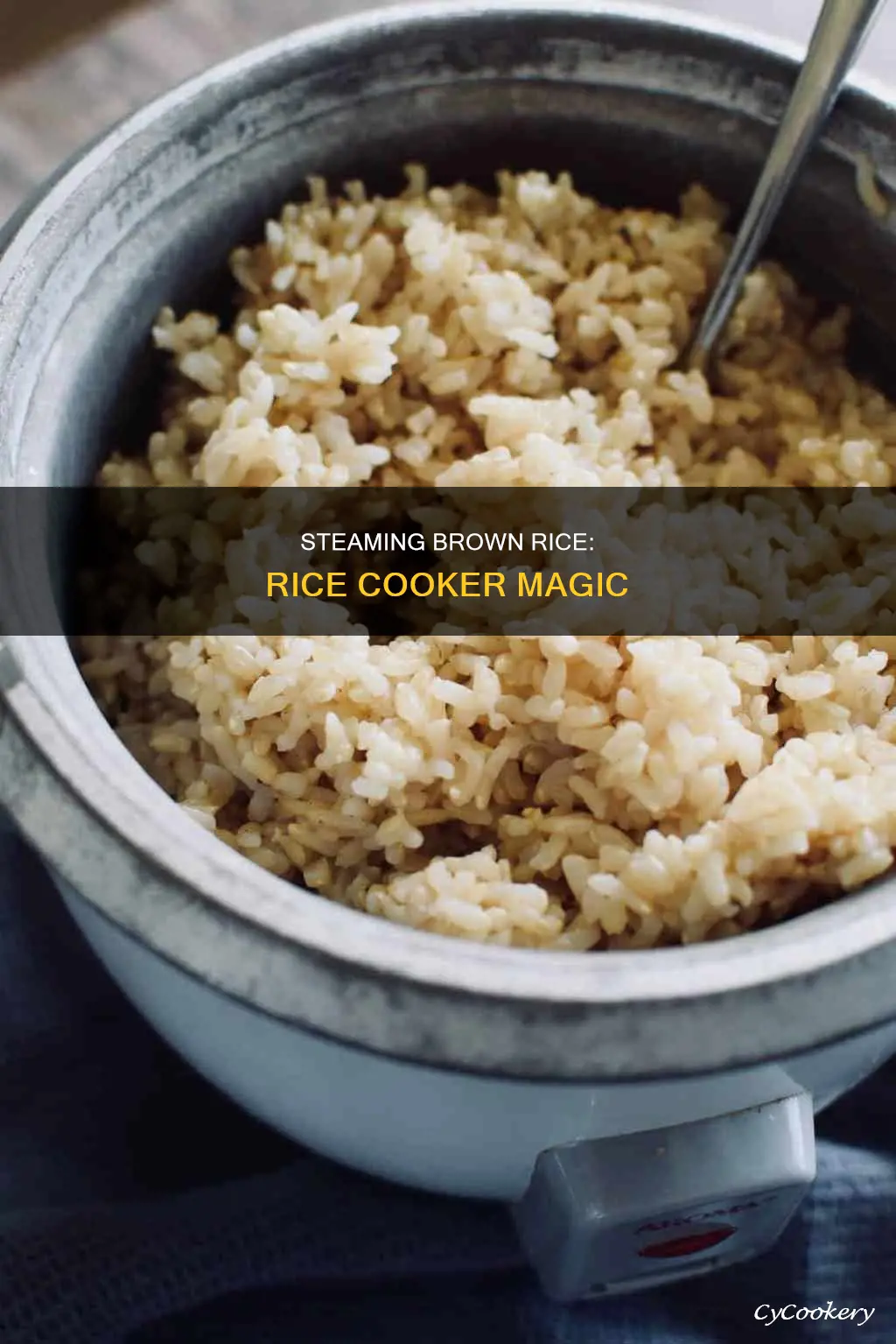 can you steam brown rice in a rice cooker