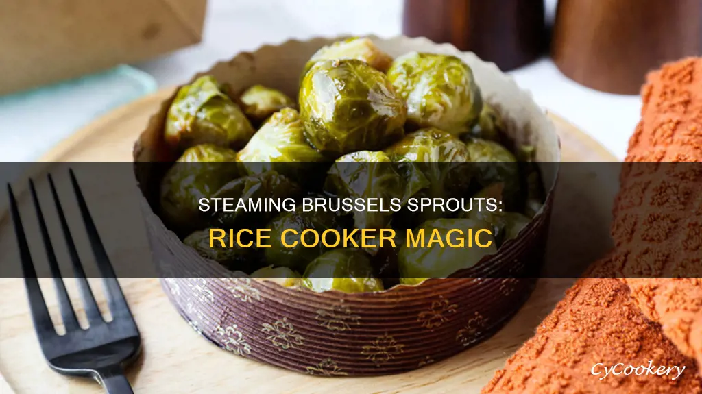 can you steam brussel sprouts in a rice cooker