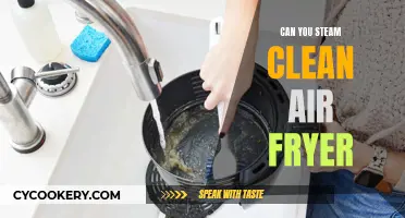 Steam Cleaning Your Air Fryer: Is It Possible?