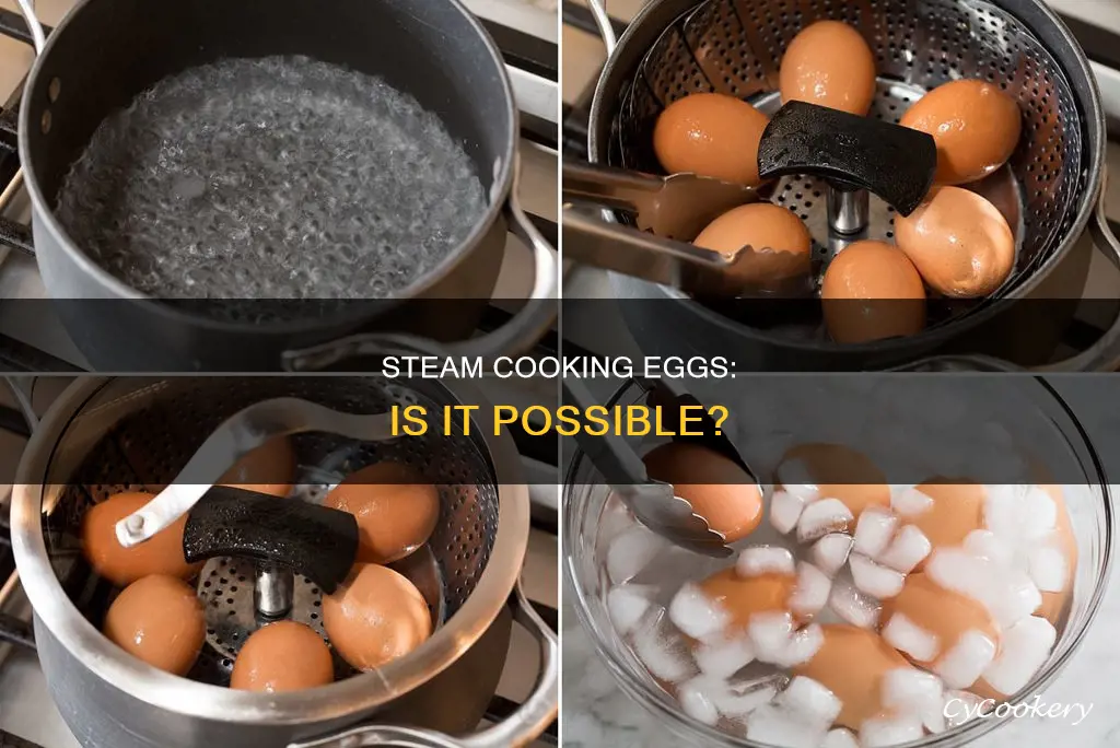 can you steam cook eggs