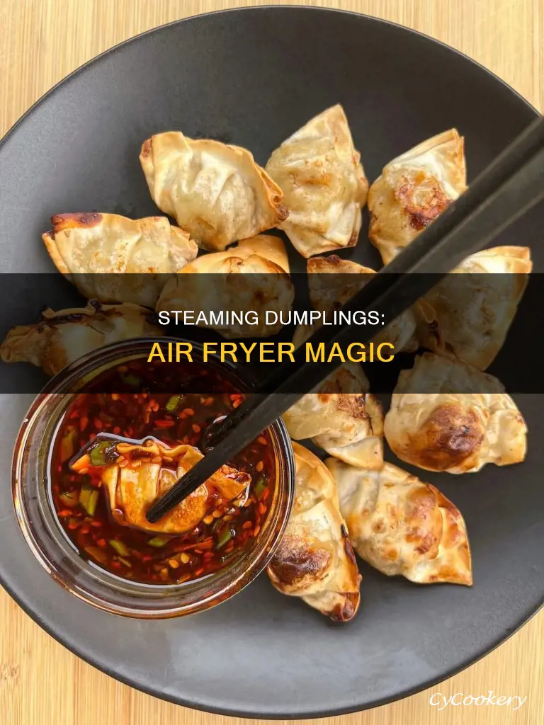 can you steam dumplings in an air fryer