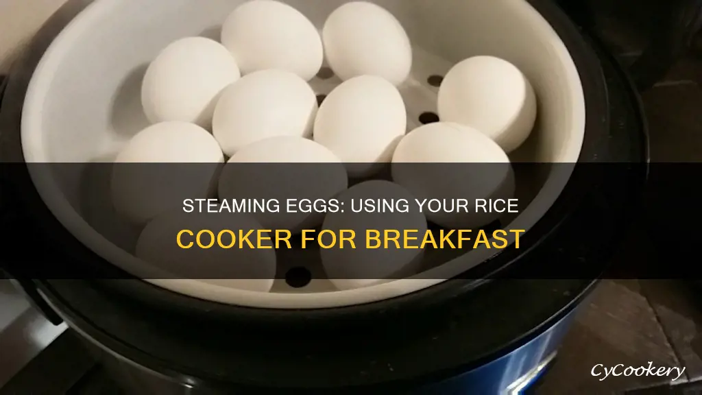 can you steam eggs in a rice cooker