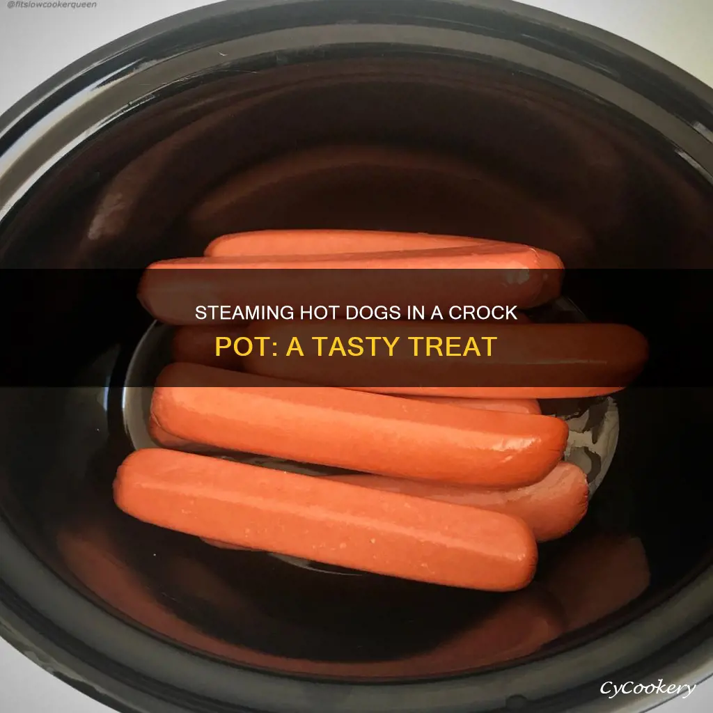 can you steam hot dogs in a crock pot