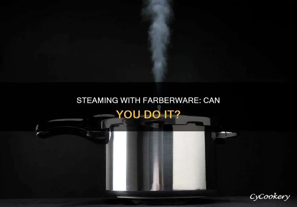 can you steam in farberware pressure cooker