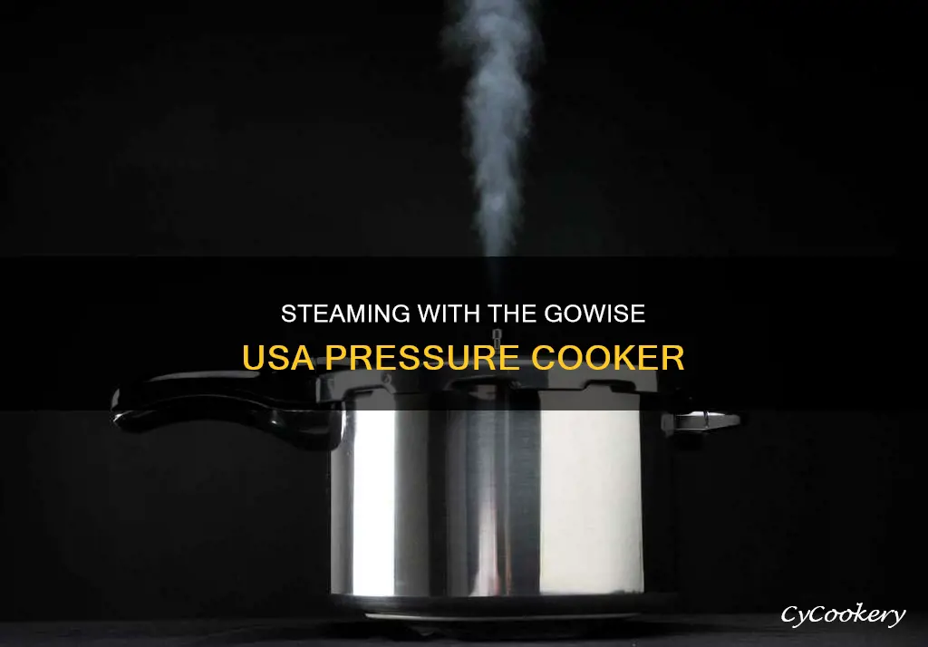 can you steam in the gowise usa pressure cooker