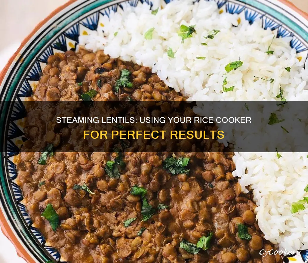 can you steam lentils in a rice cooker