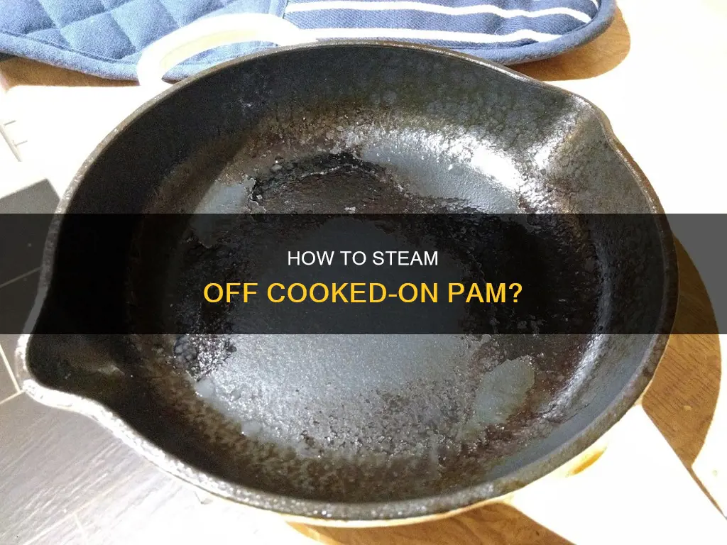 can you steam off cooked on pam