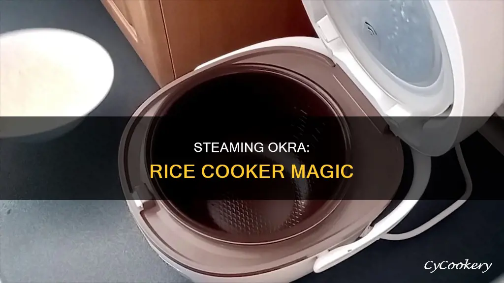 can you steam okra in a proctor silex rice cooker