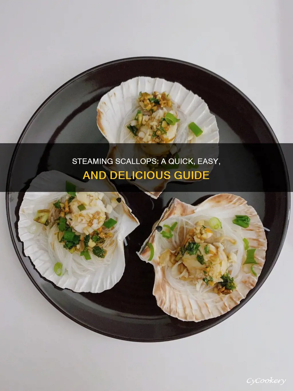 can you steam scallops how to cook