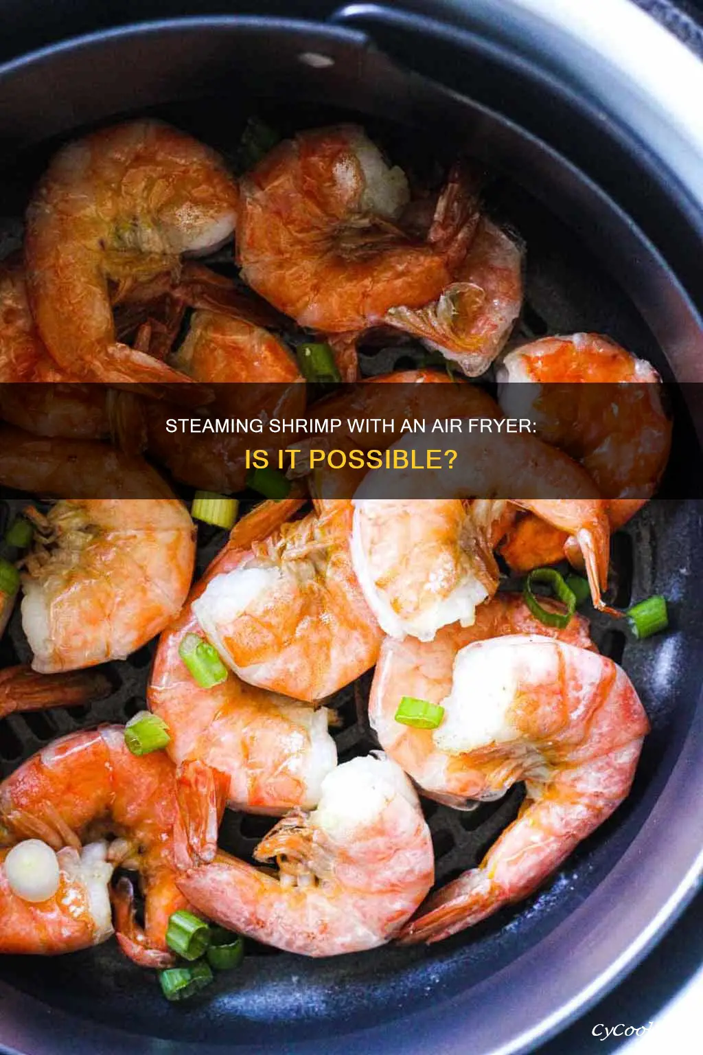 can you steam shrimp in air fryer