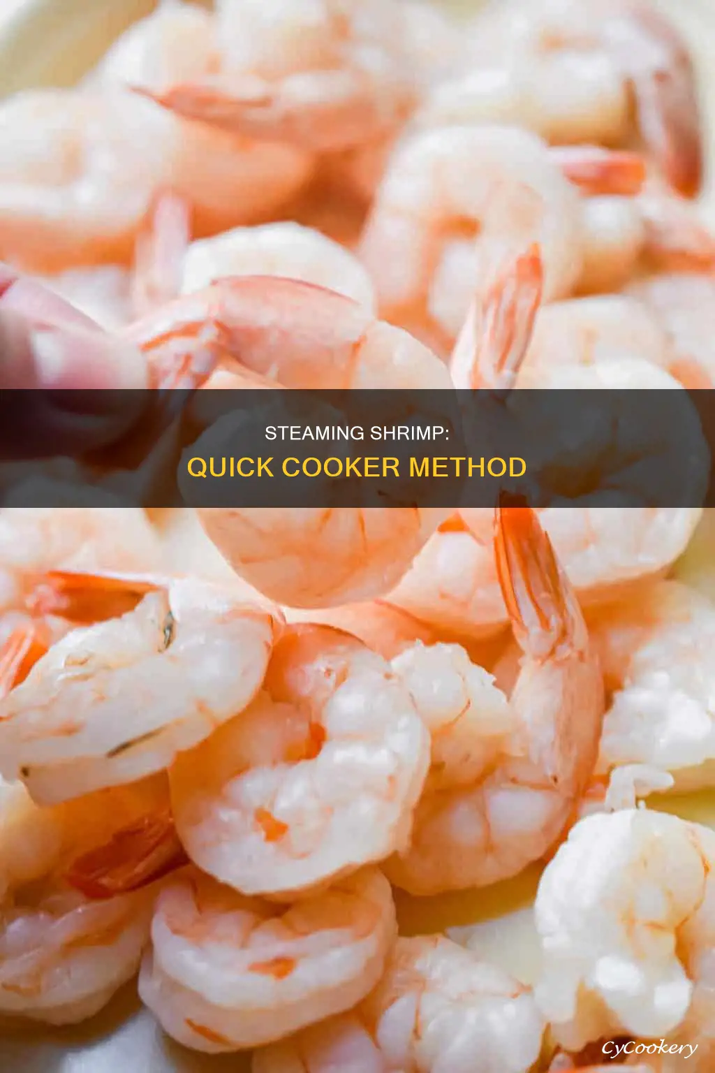 can you steam shrimp in quick cooker