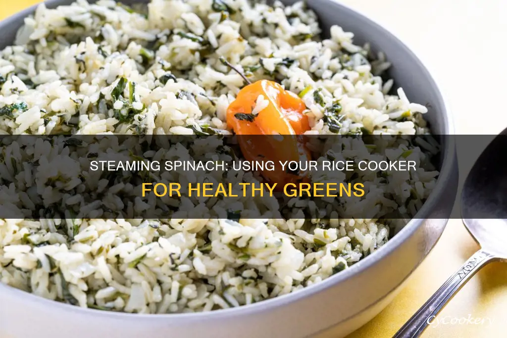 can you steam spinach in a rice cooker