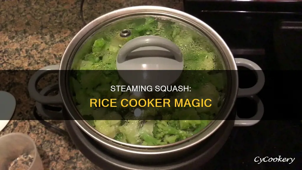 can you steam squash in a rice cooker