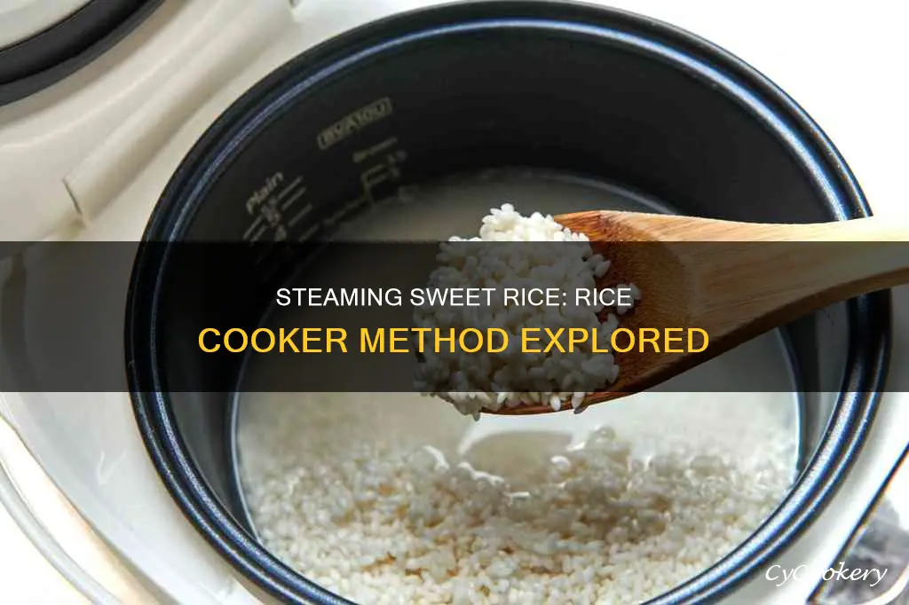 can you steam sweet rice in a rice cooker