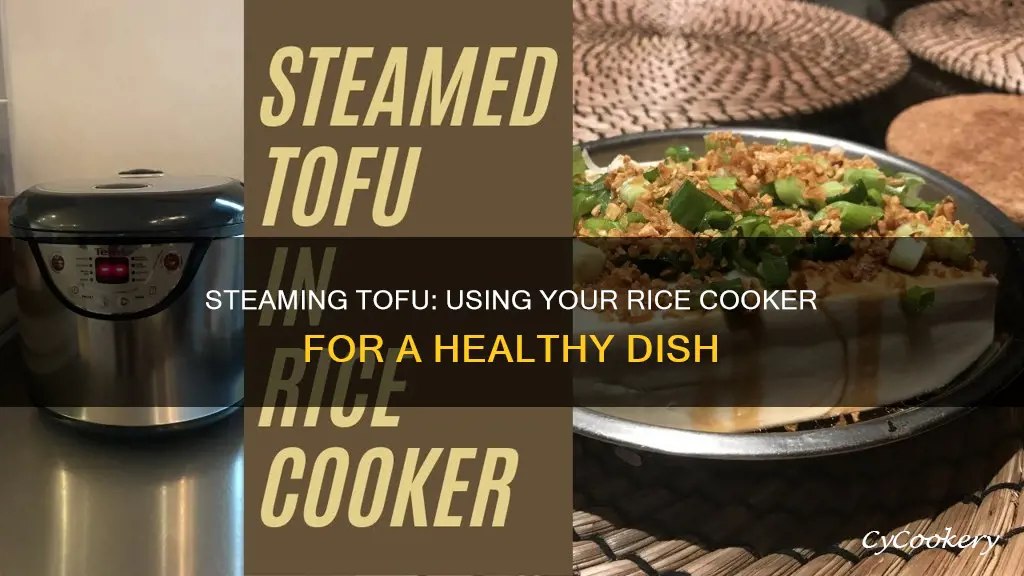 can you steam tofu in a rice cooker