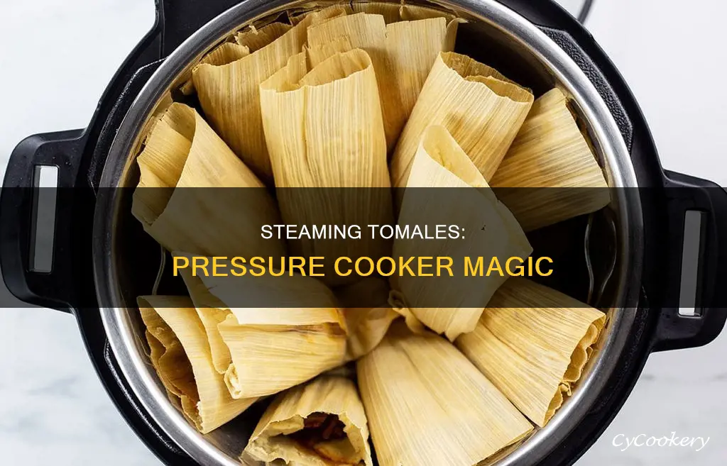 can you steam tomales in a pressure cooker