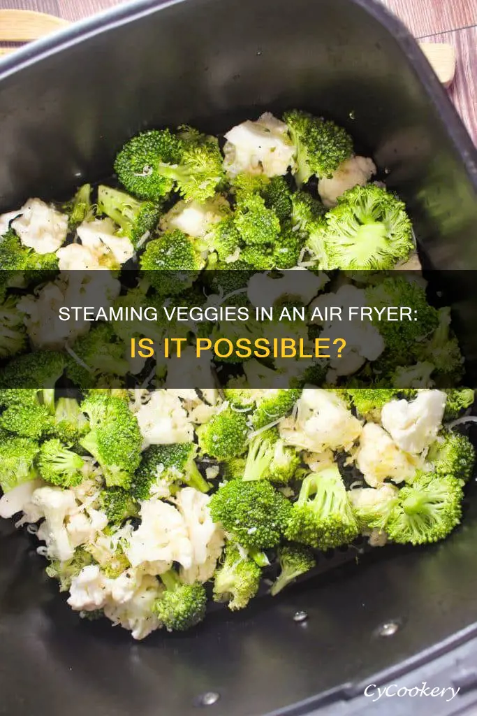 can you steam veg in an air fryer