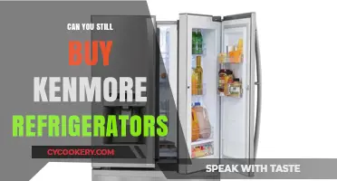 Are Kenmore Refrigerators Still Available for Purchase in 2023?