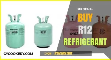 Is R12 Refrigerant Still Available for Purchase in 2023?