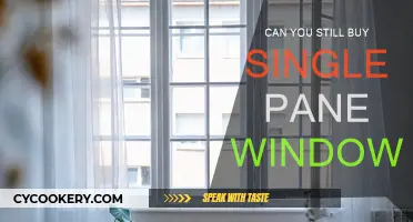 Single-Pane Windows: Still Available for Purchase?