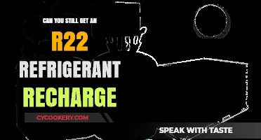 R22 Refrigerant Recharge: Is It Still Possible in 2023?